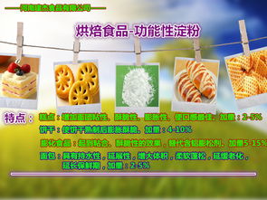 木薯變性淀粉 河南省食品產業升級的新商機