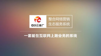 哈爾濱網(wǎng)絡(luò)推廣公司 計算機(jī)系統(tǒng)服務(wù)行業(yè)年度推廣費(fèi)用解析