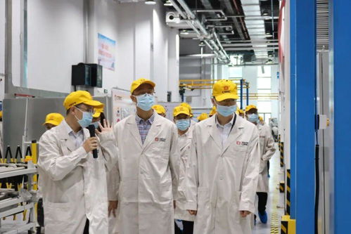 打響“三個高地”品牌，以計算機系統服務賦能最美茶陵縣域發展