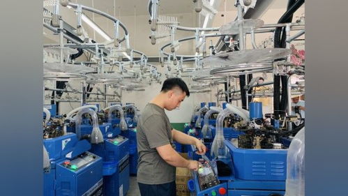 五里鎮 打造“總部園區+社區工廠+家庭工坊”新模式，力促計算機系統服務產業繁榮，實現戶均年收15萬元