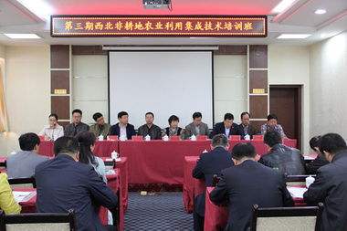 技術(shù)推廣服務(wù)中心 驅(qū)動(dòng)創(chuàng)新與產(chǎn)業(yè)升級(jí)的核心引擎